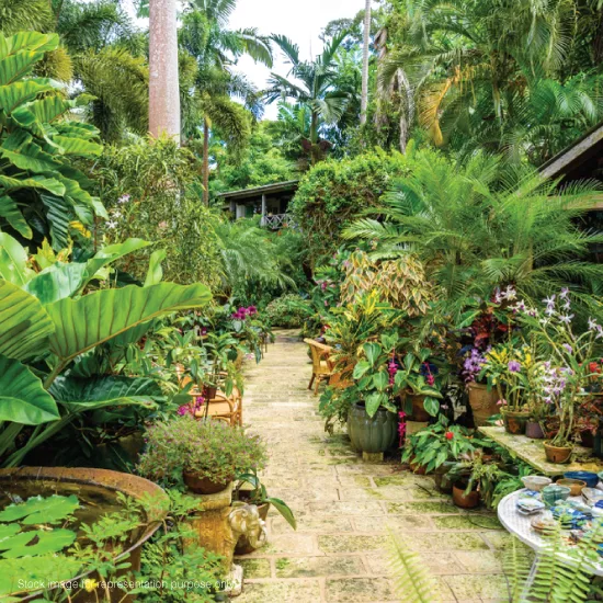 Godrej Greenview Estate Photos