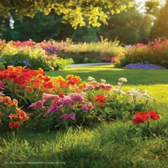 Godrej Greenview Estate Photos