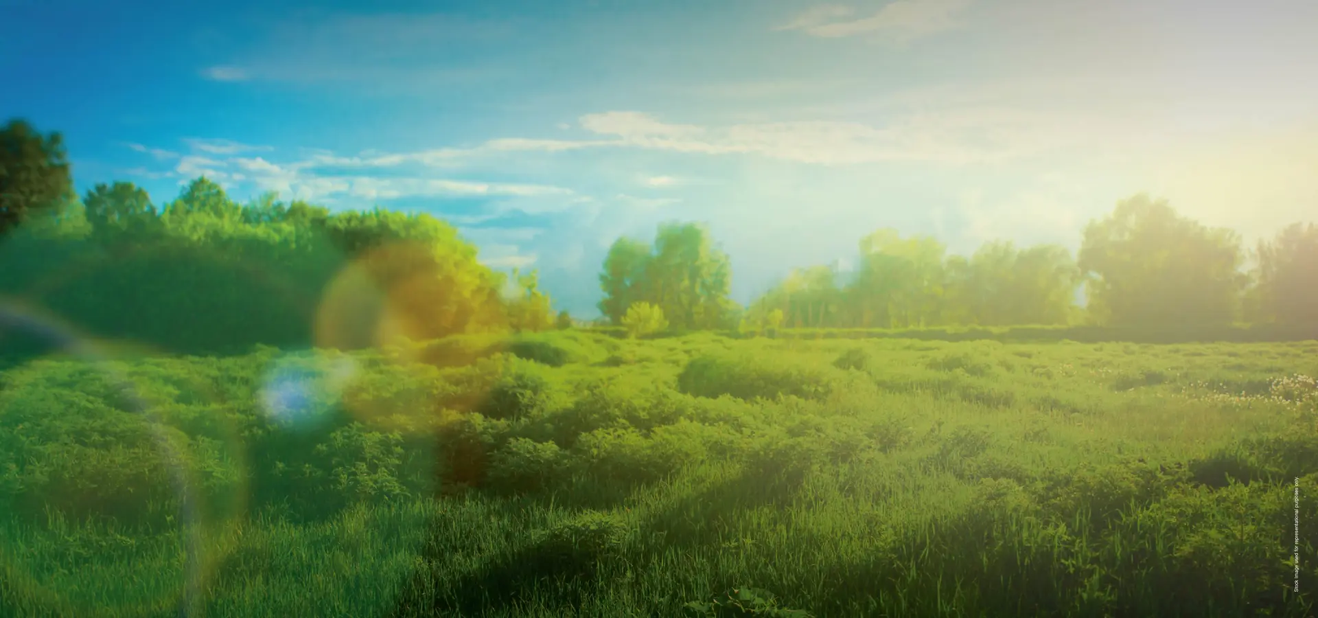 Godrej The Greenfront Pune