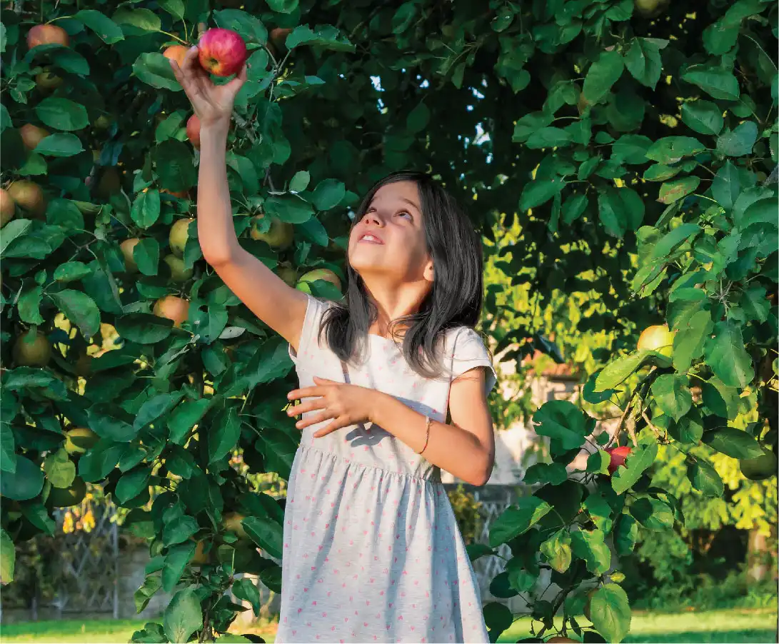 Godrej Green Terraces
